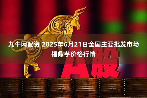 九牛网配资 2025年6月21日全国主要批发市场福鼎芋价格行情