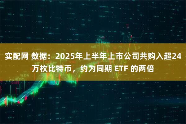 实配网 数据：2025年上半年上市公司共购入超24万枚比特币，约为同期 ETF 的两倍