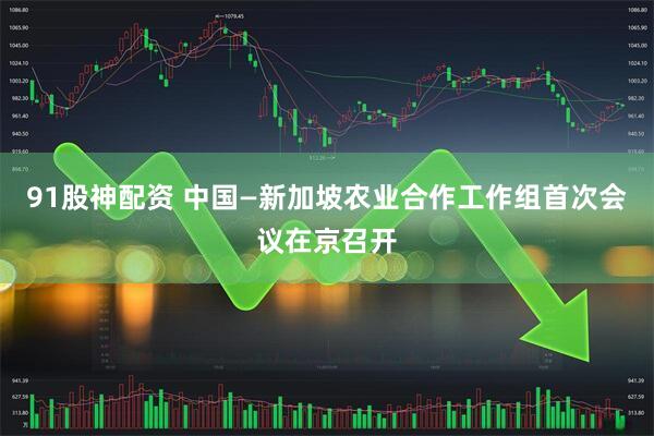 91股神配资 中国—新加坡农业合作工作组首次会议在京召开