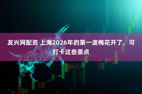 友兴网配资 上海2026年的第一波梅花开了，可打卡这些景点