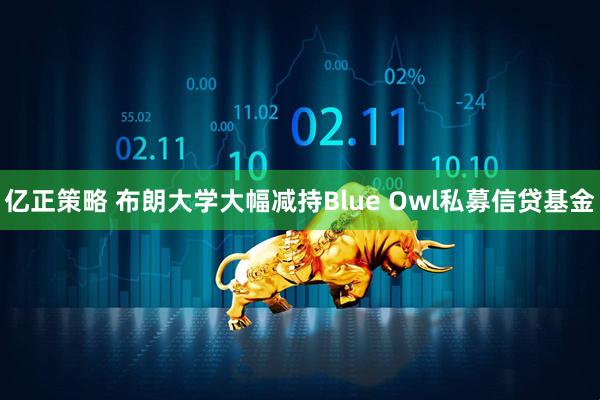 亿正策略 布朗大学大幅减持Blue Owl私募信贷基金