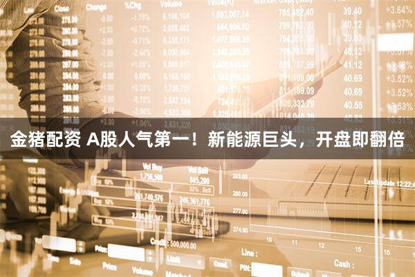 金猪配资 A股人气第一！新能源巨头，开盘即翻倍